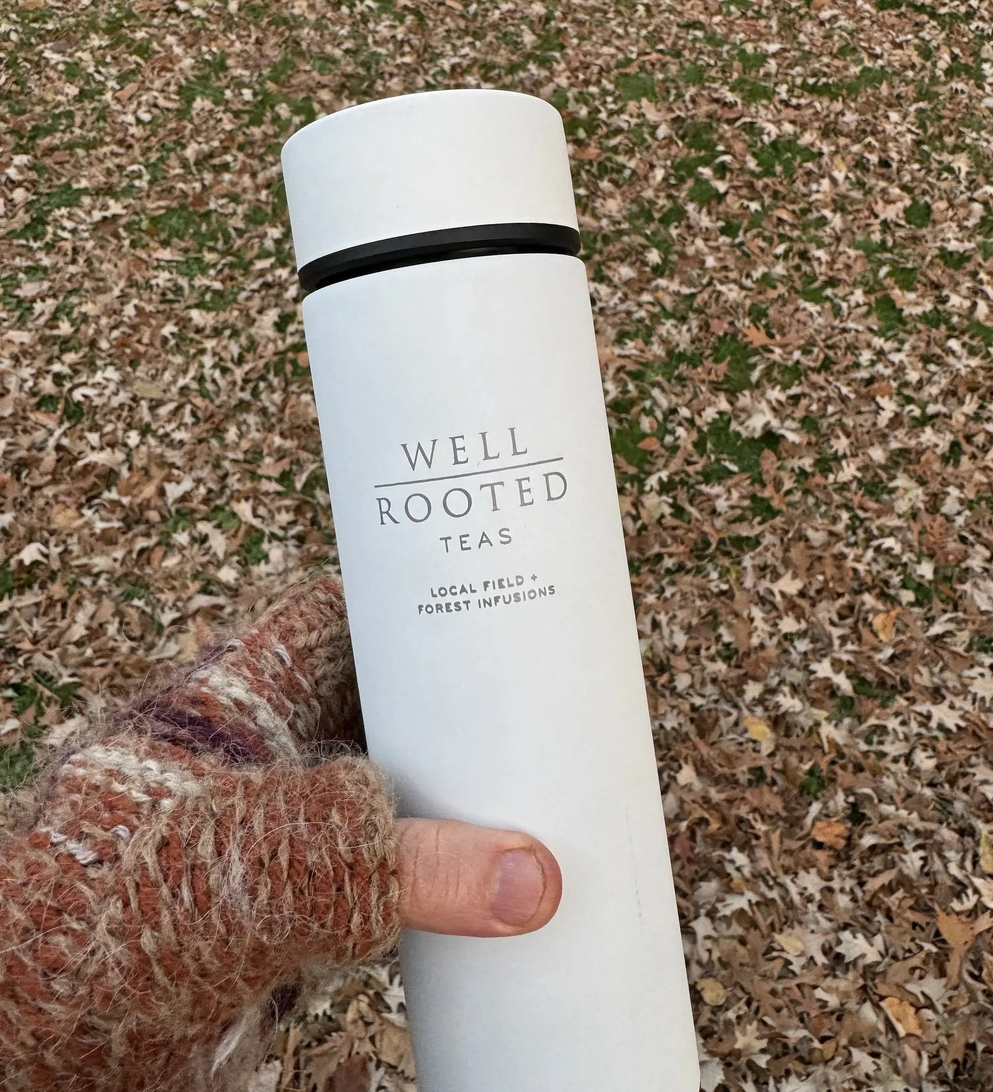 Tea Infuser Bottle