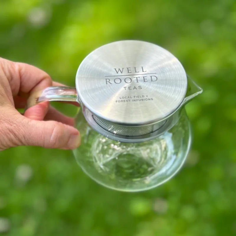 Teapot w/ Lid Strainer